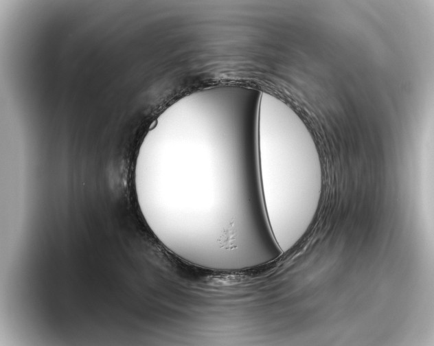 X0000096430567200801241026