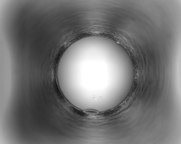 X0000096430568200801241026