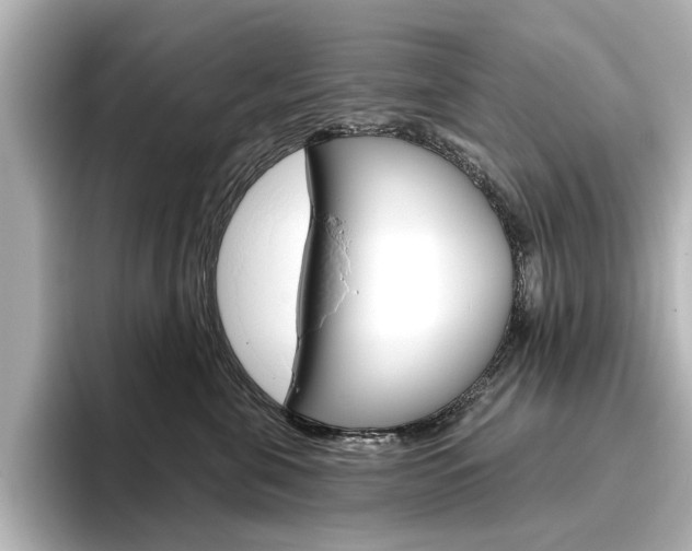 X0000096430571200801241026