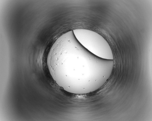 X0000096430573200801241026