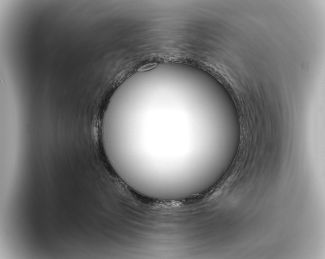 X0000096430576200801241026