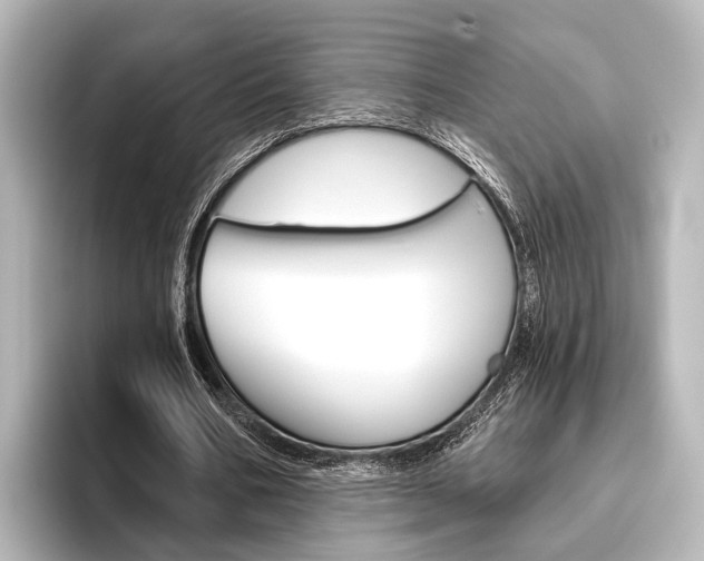 X0000096430578200801241025