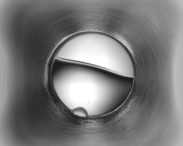 X0000096430580200801241025