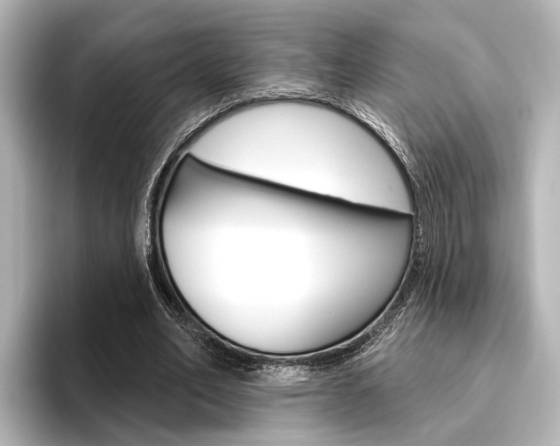 X0000096430582200801241025