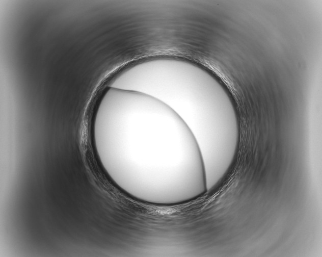 X0000096430583200801241025