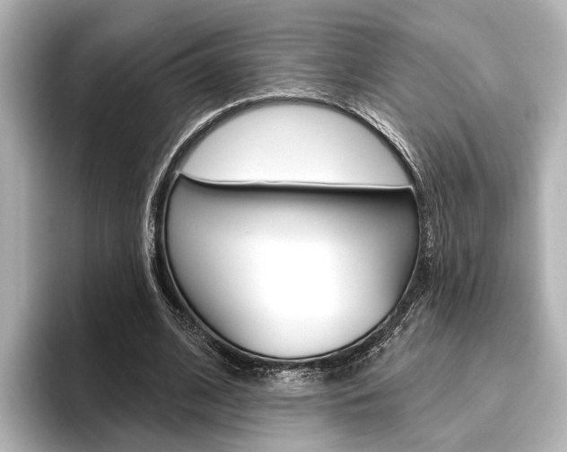X0000096430584200801241025