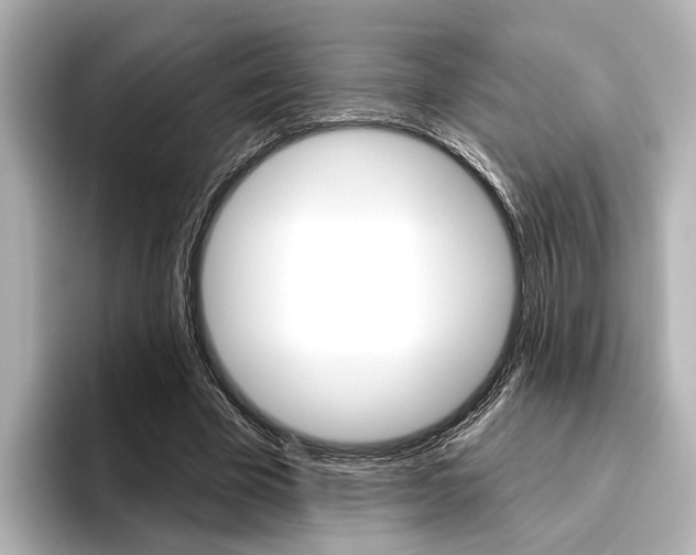 X0000096430585200801241025
