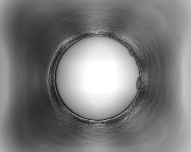 X0000096430587200801241025