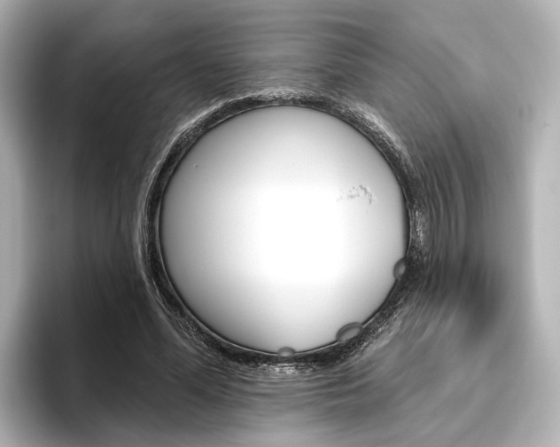 X0000096430588200801241025
