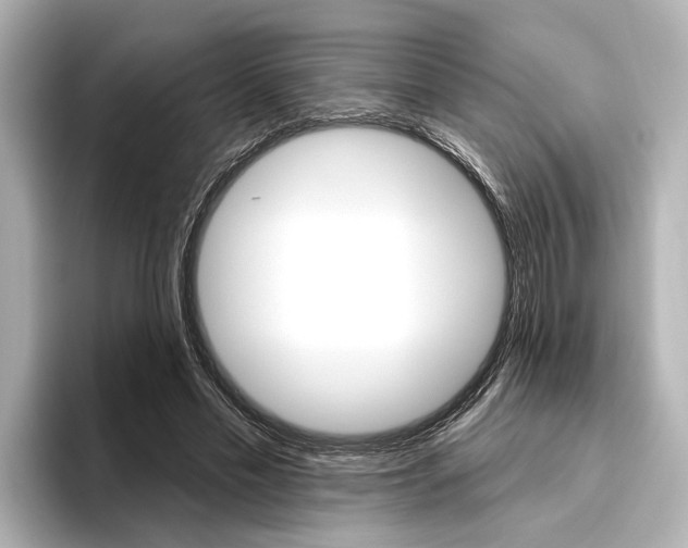 X0000096430589200801241025