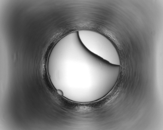 X0000096430590200801241025