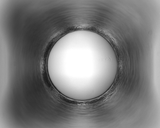 X0000096430591200801241025