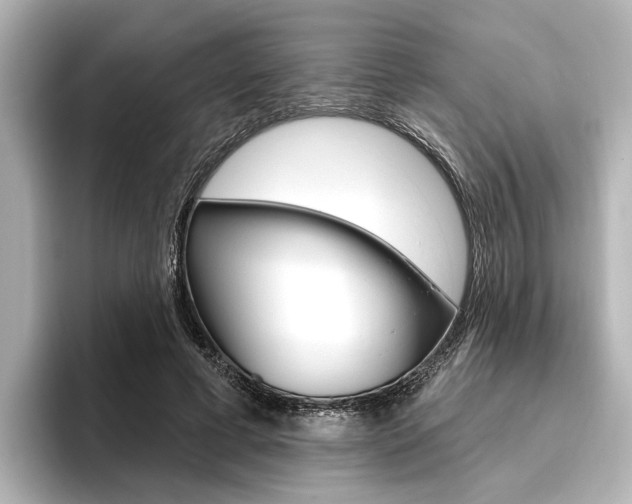 X0000096430593200801241025