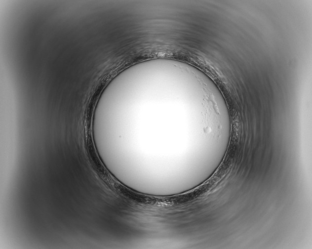X0000096430594200801241025