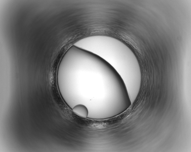X0000096430595200801241025