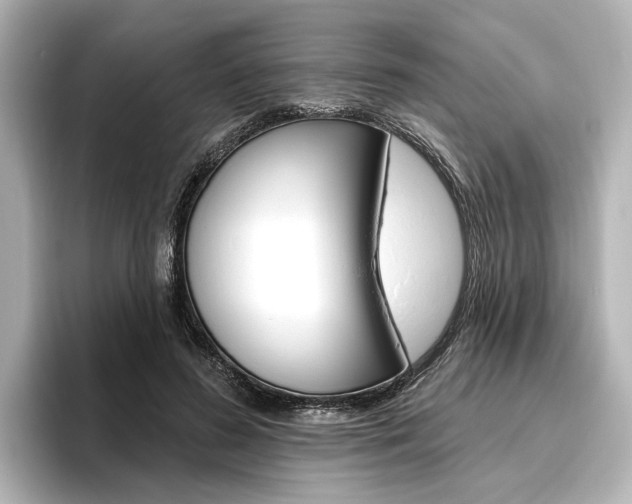 X0000096430596200801241025