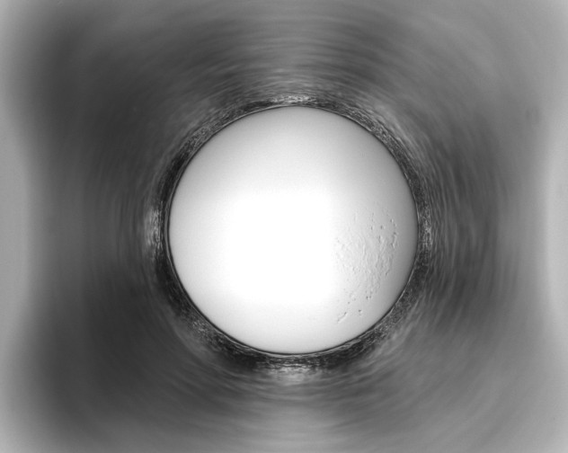 X0000096430598200801241025