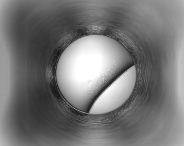 X0000096430599200801241025