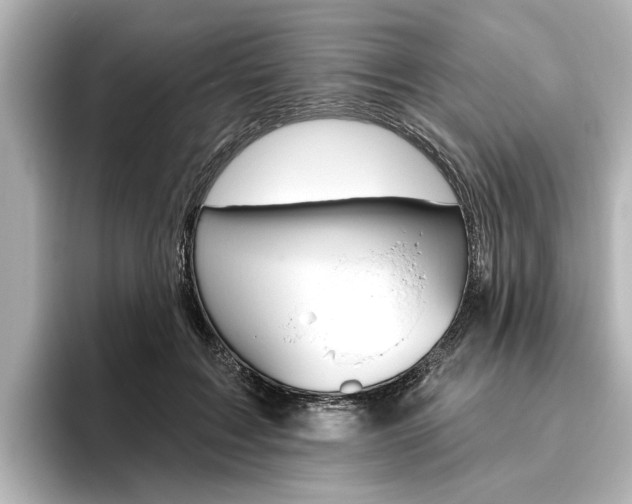 X0000096430603200801241025