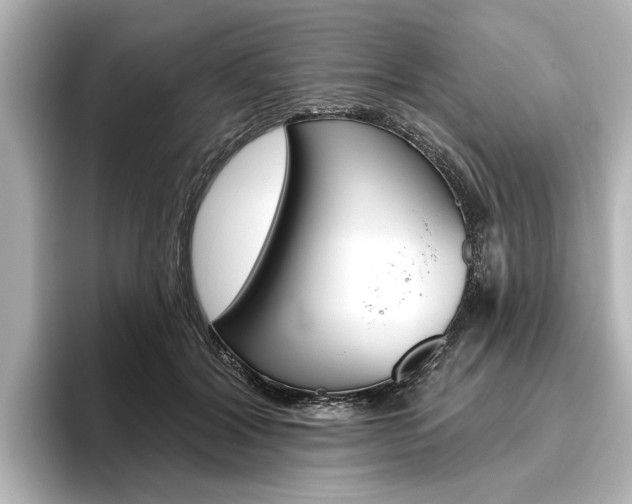 X0000096430604200801241025