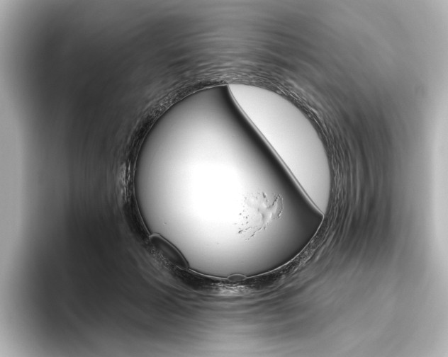 X0000096430605200801241025
