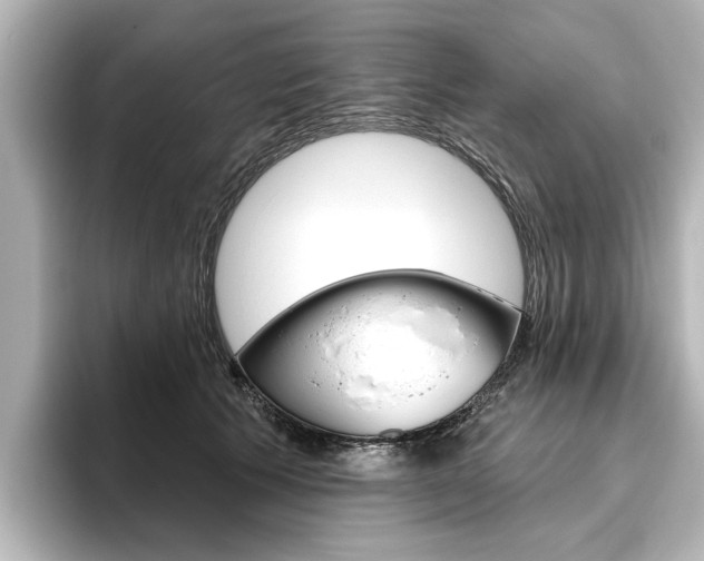 X0000096430609200801241025