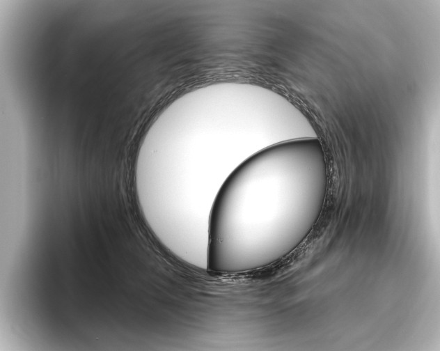 X0000096430612200801241025