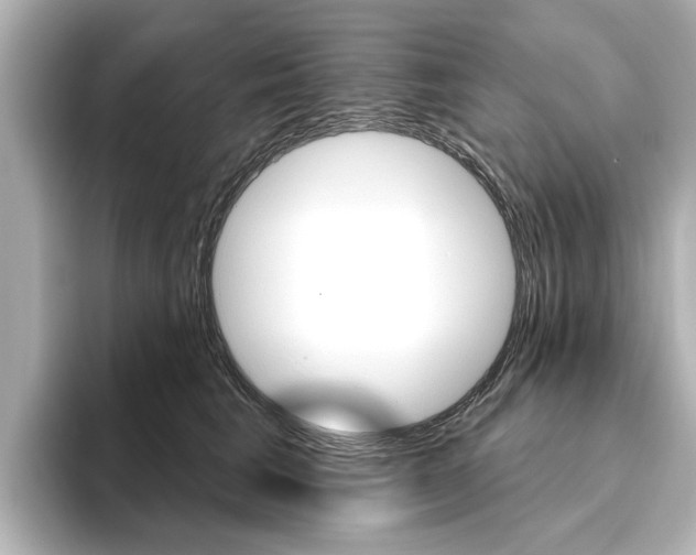 X0000096430613200801241025