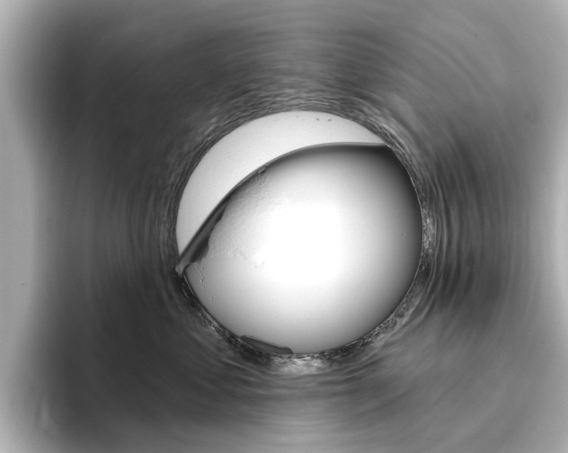 X0000096430621200801241025
