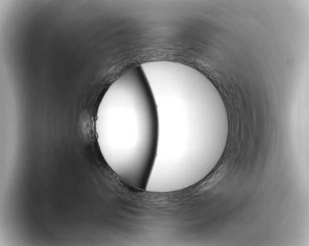 X0000096430624200801241025