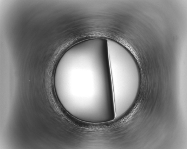 X0000096430625200801241024