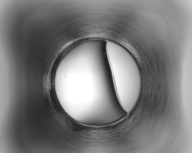 X0000096430628200801241024