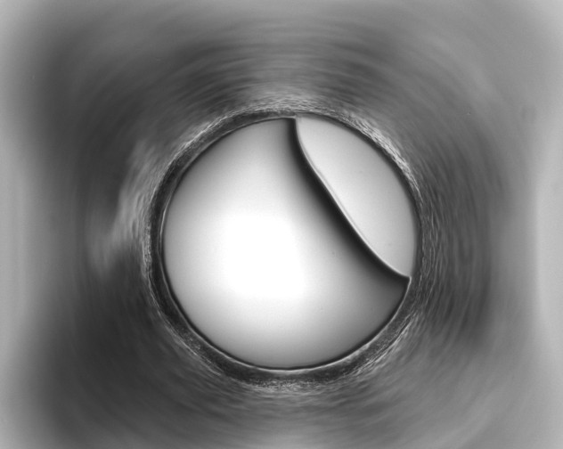 X0000096430629200801241024