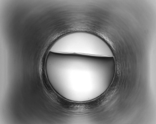 X0000096430631200801241024