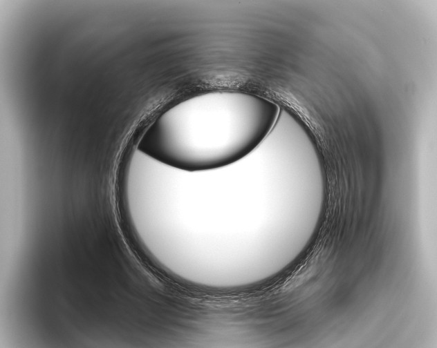 X0000096430634200801241024