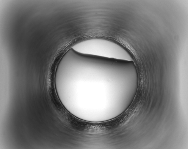 X0000096430635200801241024