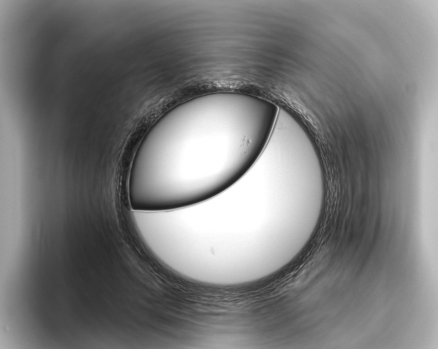 X0000096430639200801241024
