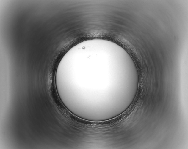 X0000096430640200801241024