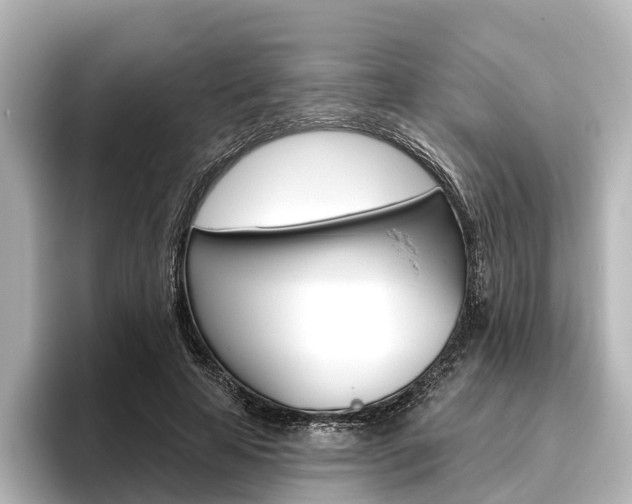 X0000096430641200801241024