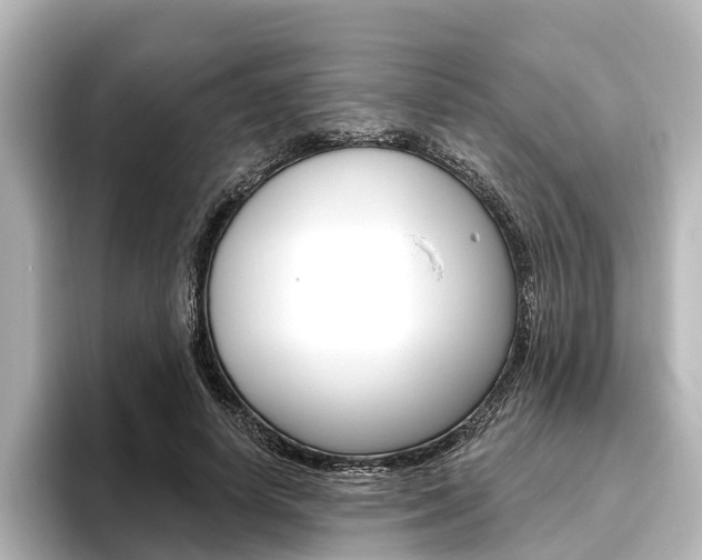 X0000096430642200801241024