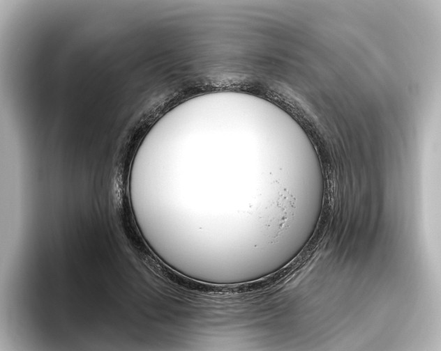 X0000096430644200801241024