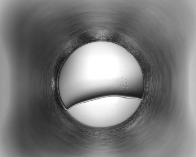 X0000096430646200801241024