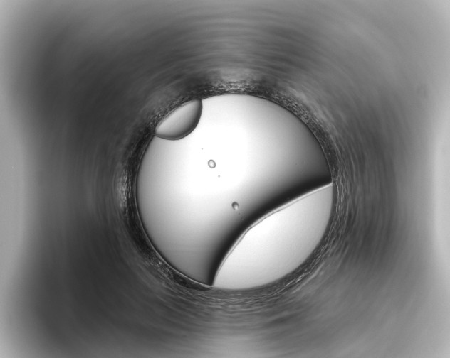 X0000096430647200801241024