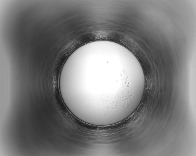 X0000096430648200801241024