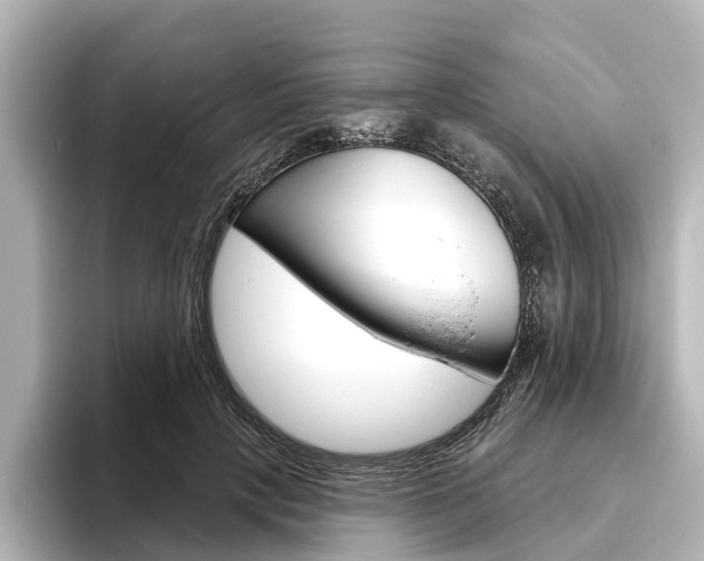 X0000096430649200801241024