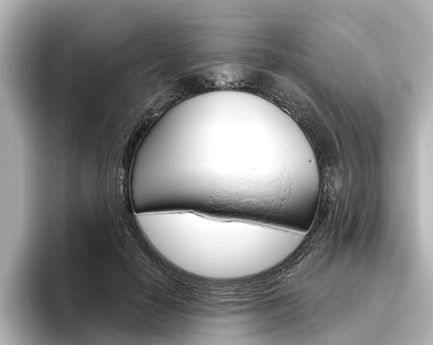 X0000096430650200801241024