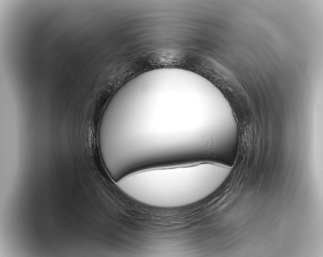 X0000096430651200801241024