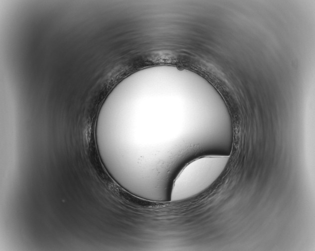 X0000096430652200801241024