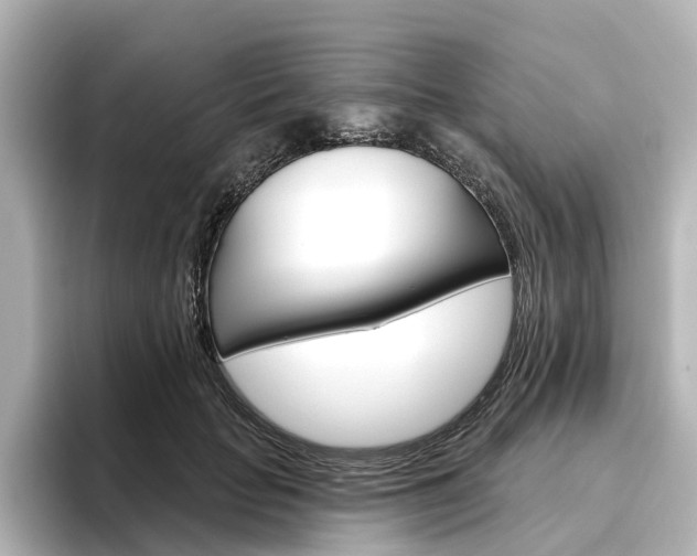 X0000096430653200801241024
