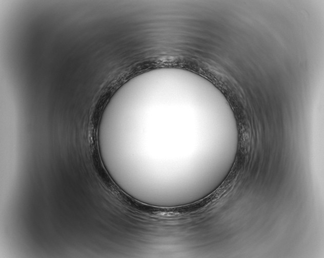X0000096430654200801241024